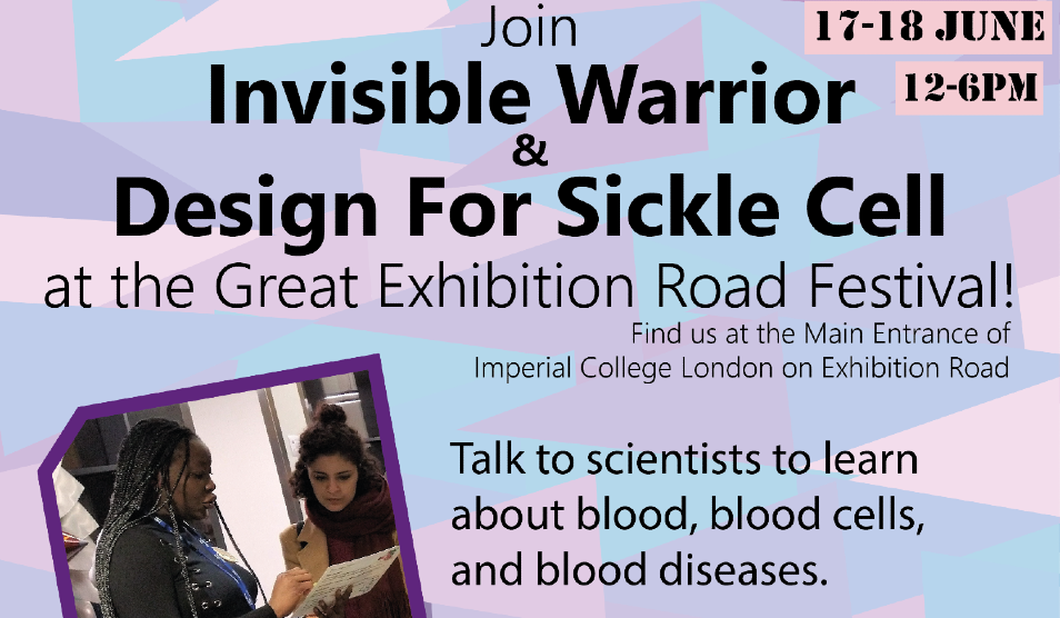 Invisible Warrior at the Great Exhibition Road Festival1718 June