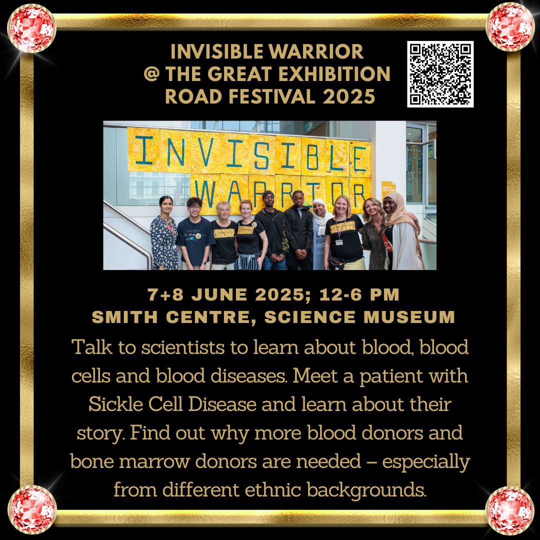 Invisible Warrior at the Great Exhibition Road Festival78 June 2025 article