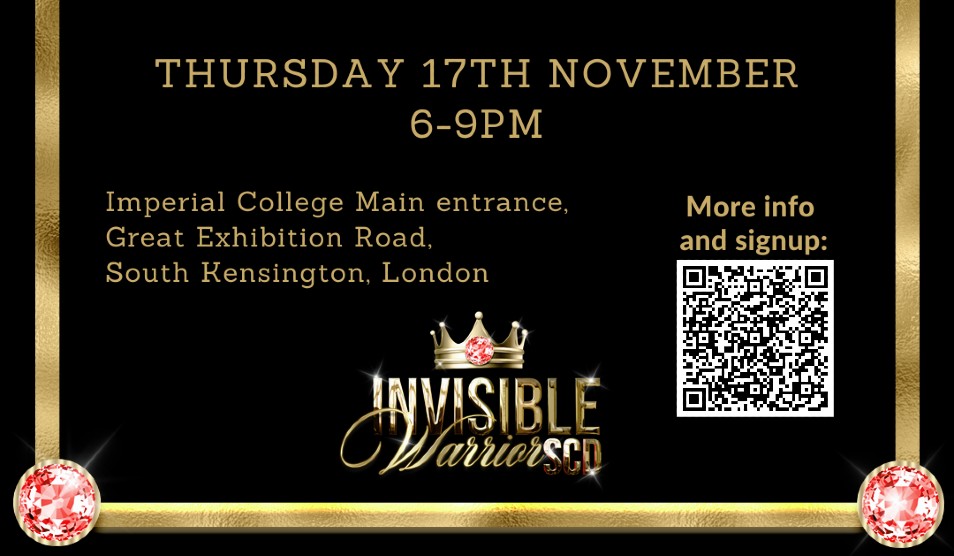 invisible get to know event