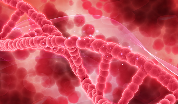 Red blood cells and DNA