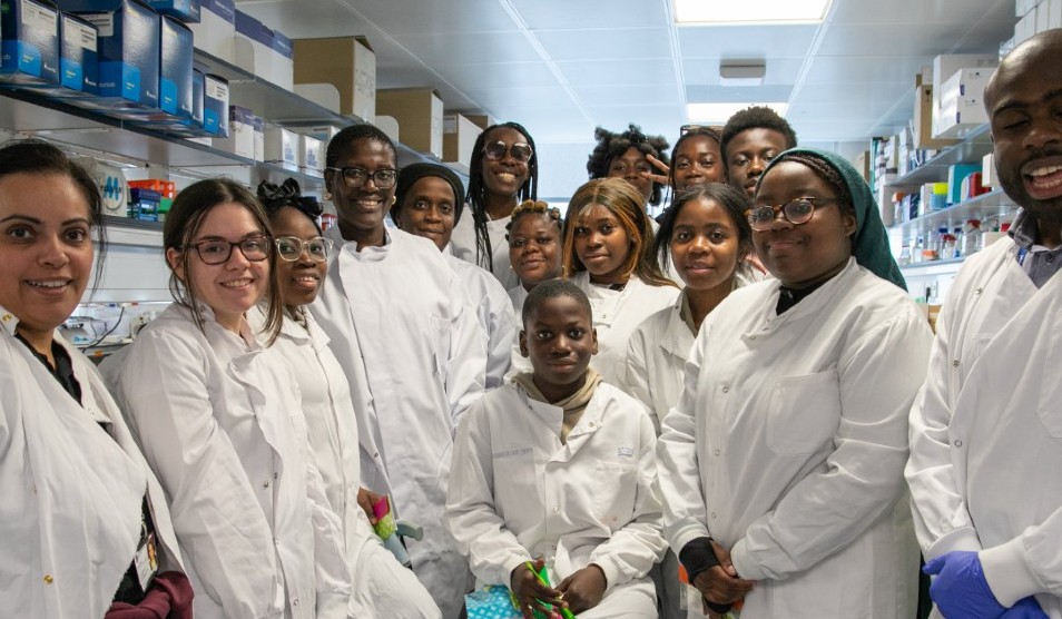 Sickle warrior article