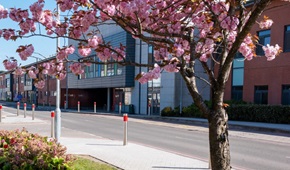 University hospital of wales