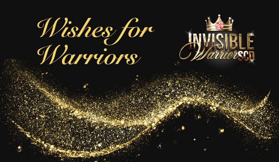 Wishes for Warriors workshop   Monday 29th September